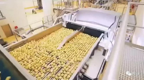 佳盛企智深加工 共享工廠 ,創新農產品新型生產模式