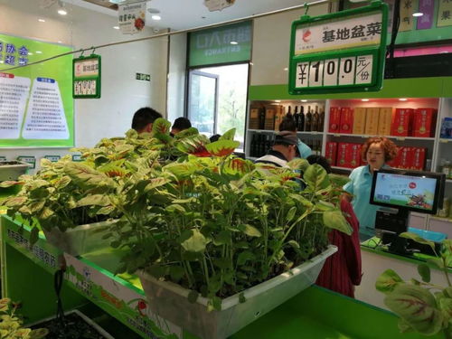 優(yōu)質(zhì)農(nóng)產(chǎn)品哪里買(mǎi) 我市首家優(yōu)質(zhì)農(nóng)場(chǎng)協(xié)會(huì)線下體驗(yàn)店開(kāi)業(yè)