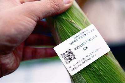 蔬菜二維碼追溯系統記錄流通全過程