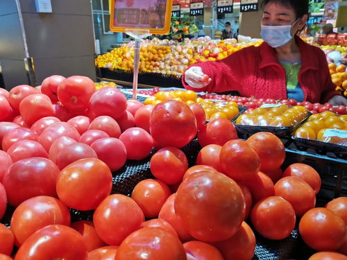 批發市場每月至少快檢900次 深圳加強全鏈條食用農產品質量安全監管