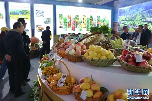 歡慶豐收節 青海 河湟 第八屆農產品展交會開幕