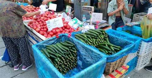 15種蔬菜12種漲 濟南菜價持續上漲,何時變回 家常菜