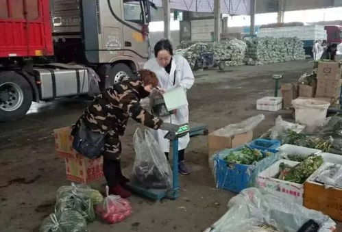 州農產品檢驗檢測中心加大檢測力度 確保春節期間食用農產品質量安全