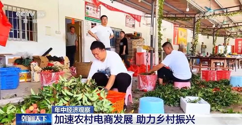 年中經(jīng)濟(jì)觀察 助力農(nóng)產(chǎn)品打通 最初一公里 農(nóng)村電商加速發(fā)展