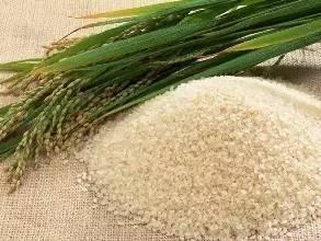 農(nóng)業(yè)部:任何食用農(nóng)產(chǎn)品沒(méi)有這個(gè)證,都不允許銷售