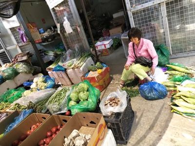 暑期社會實踐 | “融寧鄉音小分隊”尋訪農產品批發中心,探索旅順口區新發展